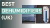 10 Best Dehumidifiers