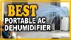 Best Portable Air Conditioner With Dehumidifier That Could Change Your Life