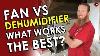 Crawl Space Fan Vs Dehumidifier Before After Do Crawl Space Fans Dry Better Than Dehumidifiers