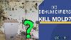 Do Dehumidifiers Kill Mold