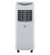 Newith Airemax 12,000 Btu (6,500 Doe, Btu) Portable Air Conditioner In Apa112c
